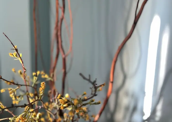 Lavender House Apartamento *